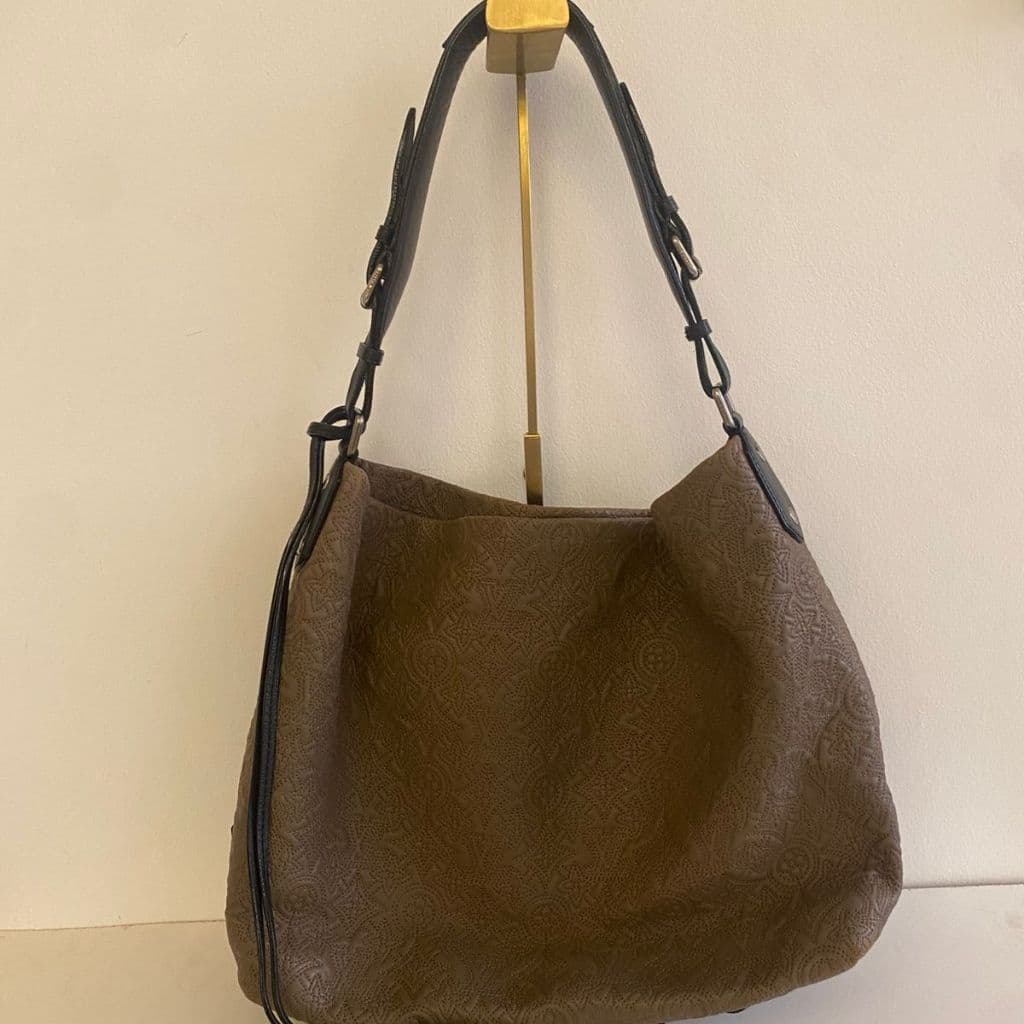 Louis Vuitton Antheia Hobo PM bag
